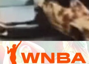 Tragic Morning Collision in Miami: WNBA Star Cameron Brink Involved in Serious Car Crash …