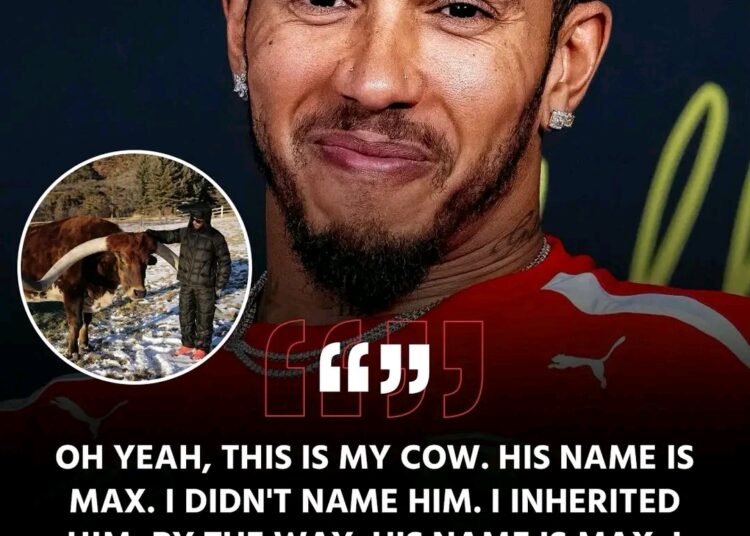 “THE COW STORY THAT SHOOK F1?” — Lewis Hamilton Shares Bizarre Tale About a Cow He Adopted… Fans Wonder: Was It a Hidden Jab at Max Verstappen?